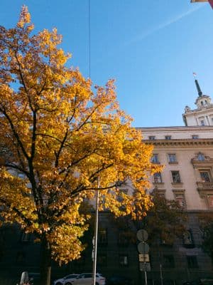 IMG_4588.jpg