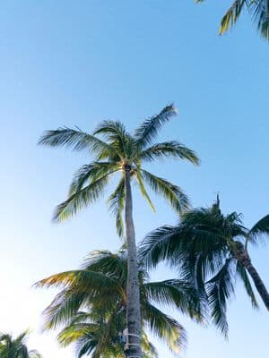 IMG_6092.jpg